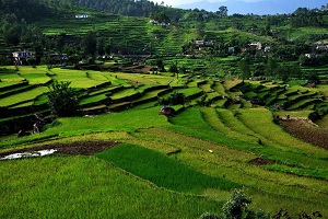 kausani tour packages